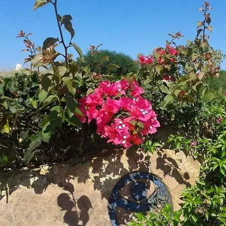 Ciclopi : La Sardegna Dei Vostri Sogni Feriepark *