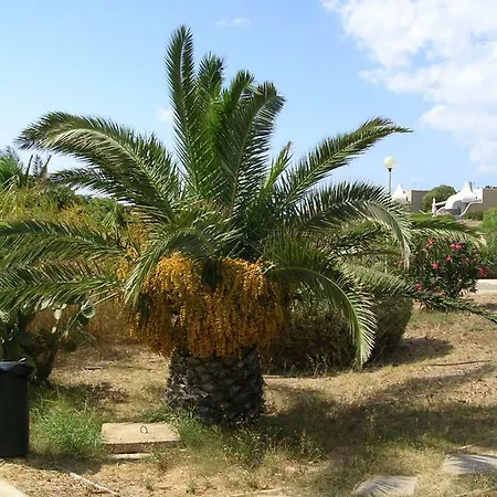 Ciclopi : La Sardegna Dei Vostri Sogni